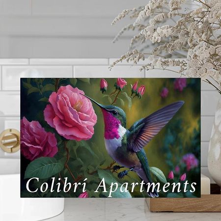 Colibri Apartamentos Vista Mar モハカル エクステリア 写真