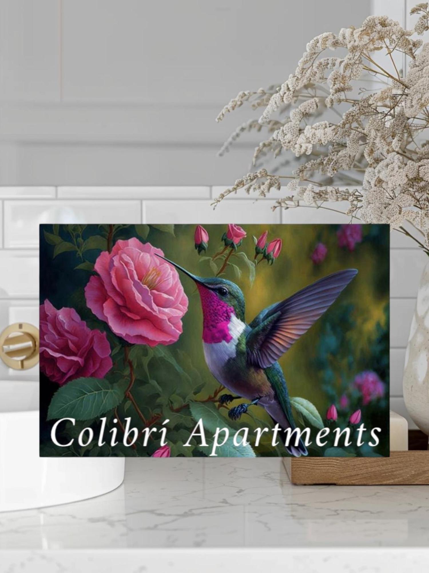 Colibri Apartamentos Vista Mar モハカル エクステリア 写真