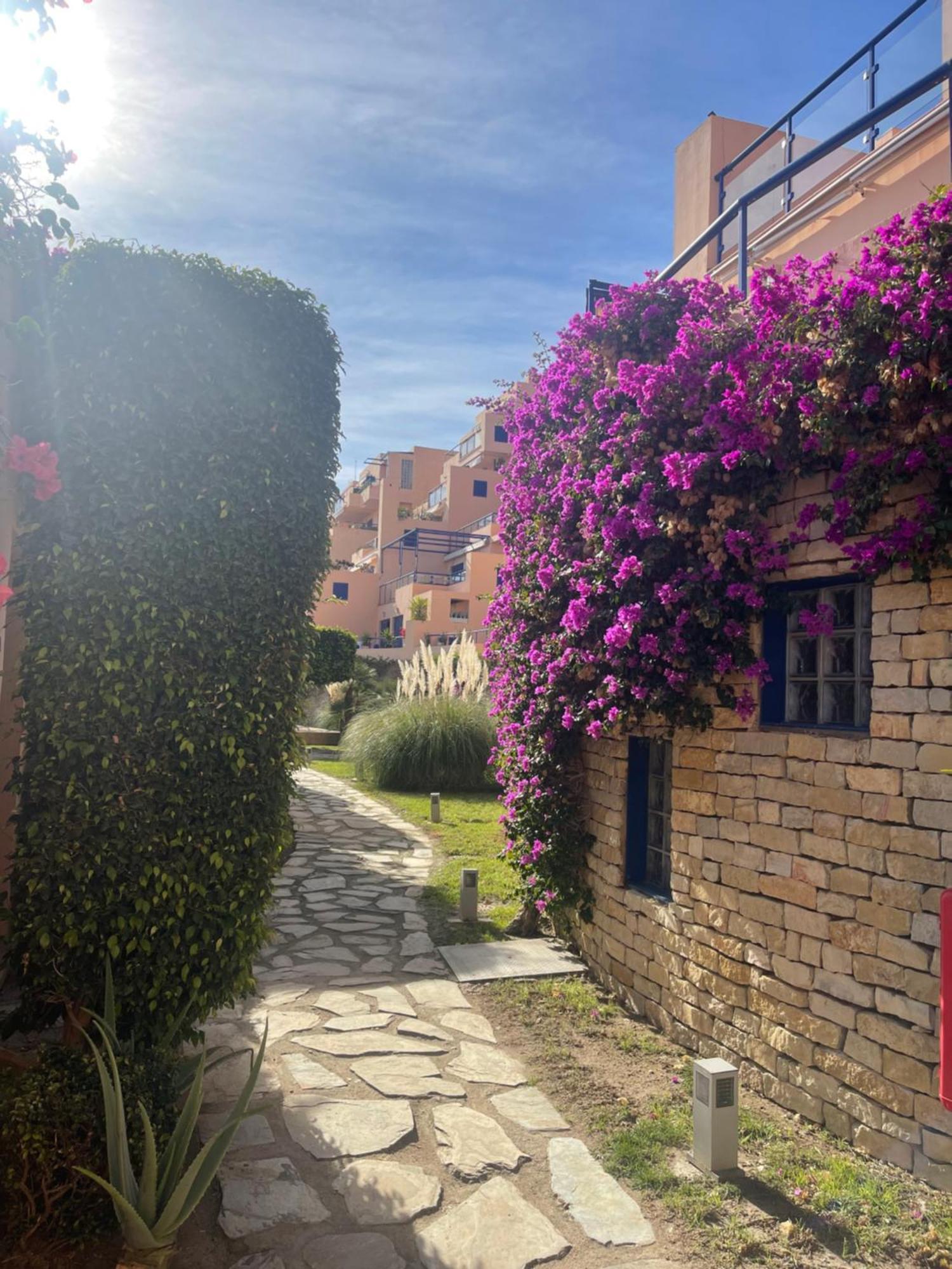Colibri Apartamentos Vista Mar モハカル エクステリア 写真